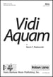 Vidi Aquam